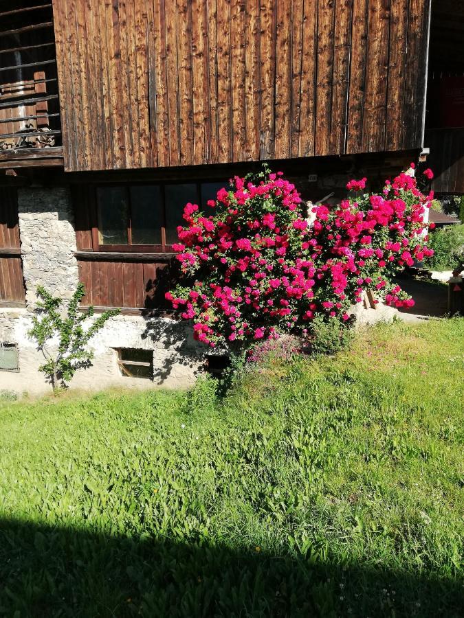 Ledererhof Villa Oberlienz Ngoại thất bức ảnh